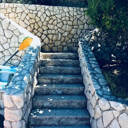 Dama * 奥布罗瓦茨