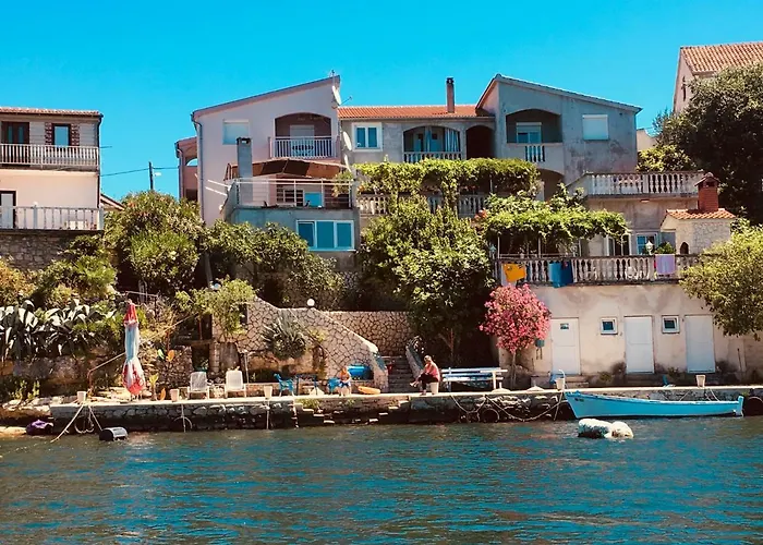 Dama * Обровац